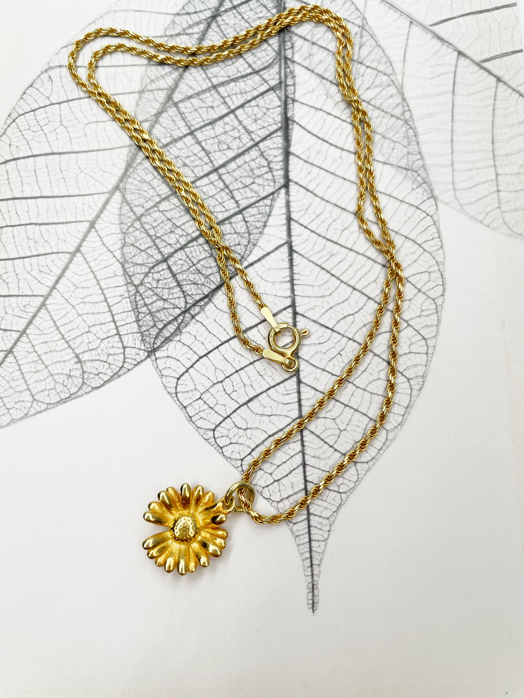 Golden Daisy