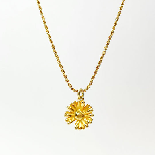 Golden Daisy